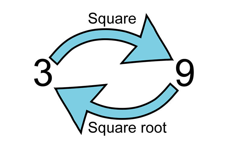 3 squared is 9 but 3 is the square root